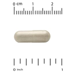 NOW Foods, Probiotic-10™，100 粒素食膠囊
