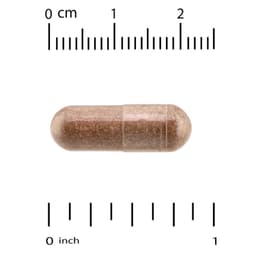 Quality of Life, Kinoko® Platinum AHCC®，60 粒素食膠囊
