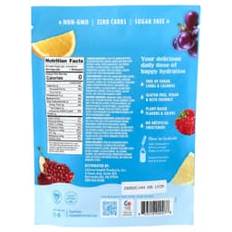 Ultima Replenisher, 6 種必需電解質，每日電解質混合飲品，多種口味，20 條