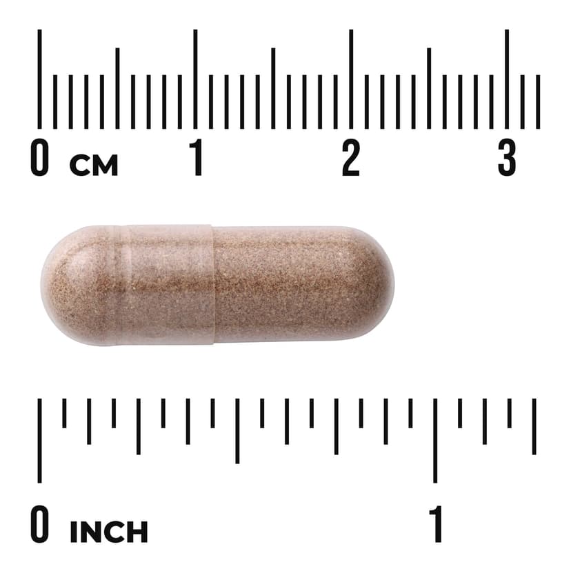 Swanson Vitamins, 多面鋸棕櫚，前列攝護腺，540 毫克，250 粒膠囊