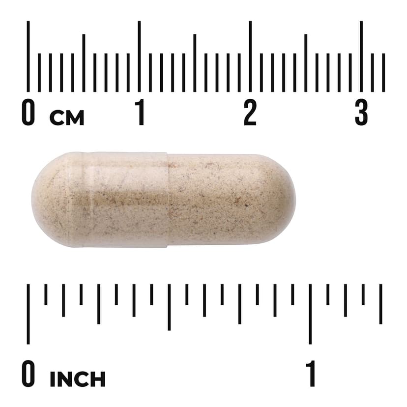 Swanson Vitamins, Full Spectrum® 多面水飛薊全素膠囊,500 毫克,100 粒