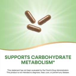 Nature's Way, 血糖管理器®，90 粒膠囊