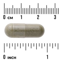 Swanson Vitamins, 多面® 薄荷葉，400 毫克，60 粒膠囊