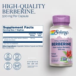 Solaray, Berberine, 500mg, 60 VegCaps