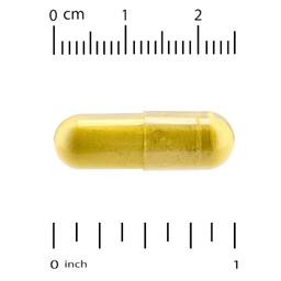 Natural Factors, WellBetX®，小檗鹼，120 粒素食膠囊（每粒膠囊 500 毫克）