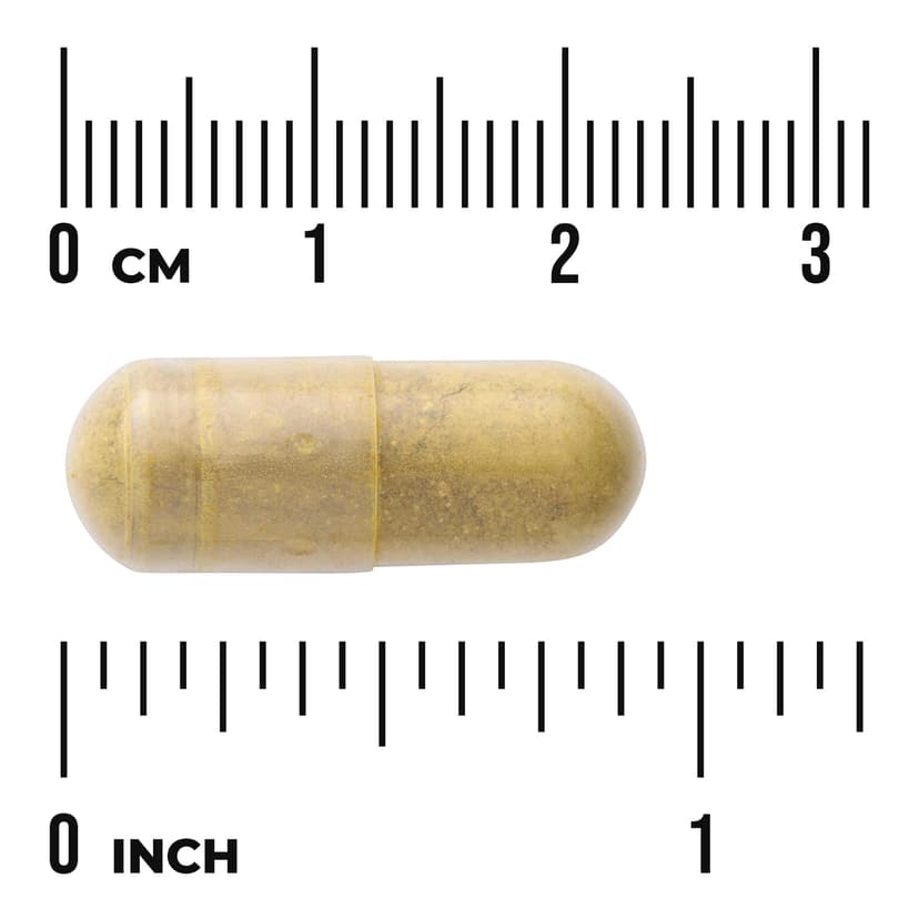 Swanson Vitamins, 優效吸收小檗鹼,30 粒全素膠囊(每粒膠囊 550 毫克)