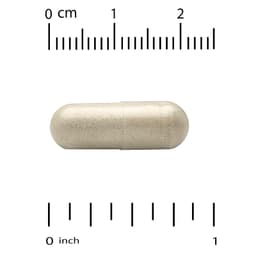 California Gold Nutrition, Ferrochel® 鐵（雙甘氨酸），36 毫克，90 粒素食膠囊