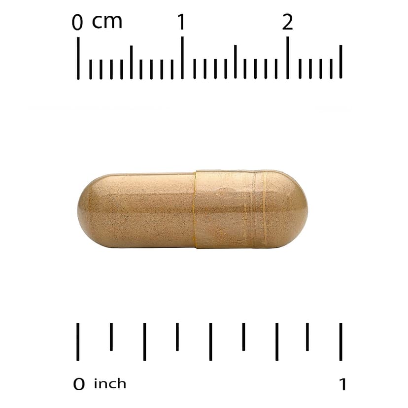 California Gold Nutrition, 掃羅瑪布爾提取物,500 毫克,60 粒素食膠囊