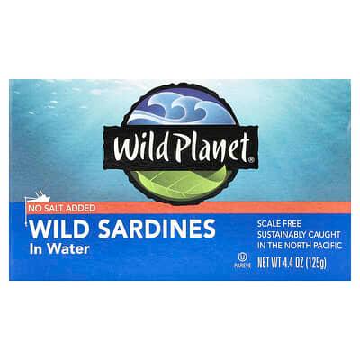 Wild Planet, 水浸野生沙丁魚，無新增鹽，4.4 盎司（125 克）