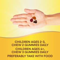 Nature's Way, Alive! 兒童，優質多維他命軟糖，櫻桃、葡萄和柳丁味，90 粒