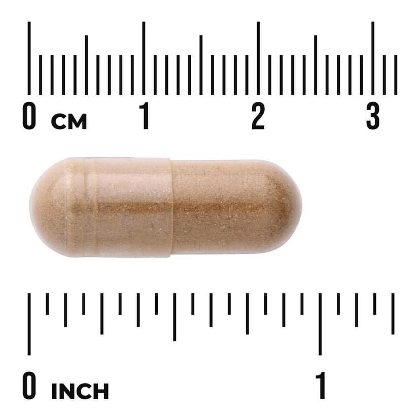 Swanson Vitamins, 多面®苦瓜,500 毫克,60 粒全素膠囊