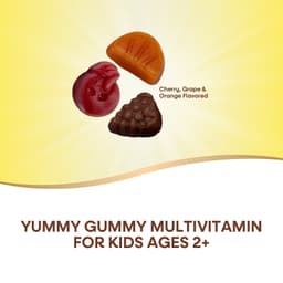 Nature's Way, Alive! 兒童，優質多維他命軟糖，櫻桃、葡萄和柳丁味，90 粒