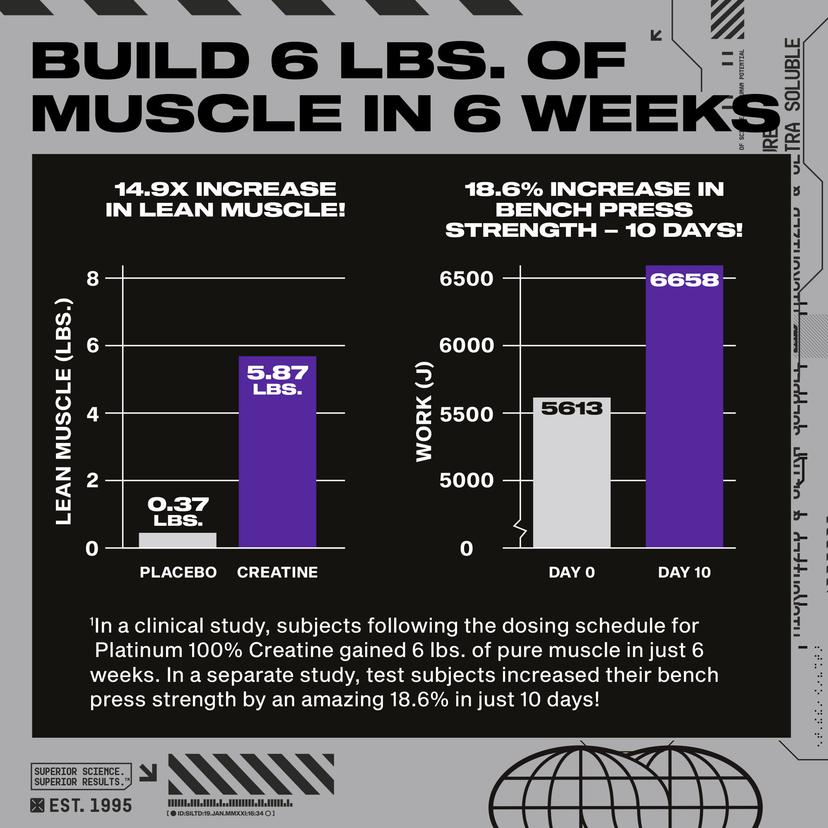 MuscleTech, 白金全一水肌酸，原味，14.11 盎司（400 克）