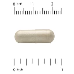 California Gold Nutrition, NMN 複合物，60 粒素食膠囊