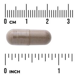 Swanson Vitamins, Full Spectrum® 聖潔莓，400 毫克，120 粒全素膠囊