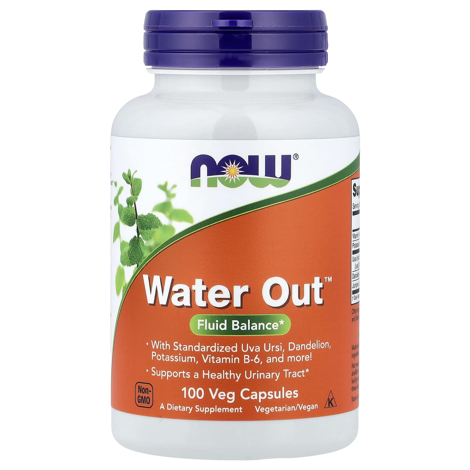 NOW Foods, Water Out™,100 粒素食膠囊