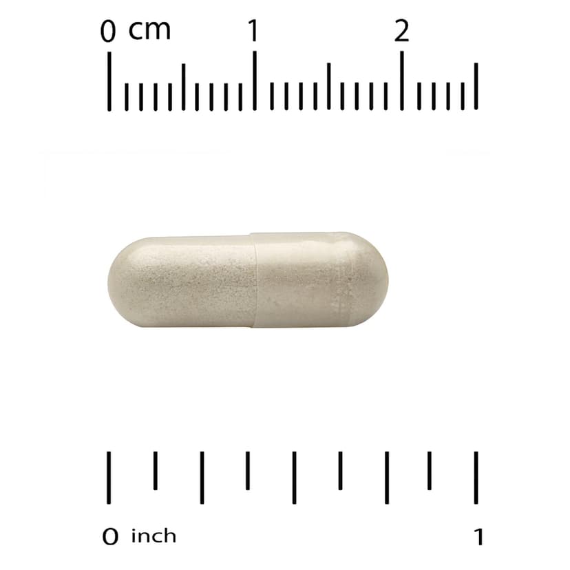 NOW Foods, Probiotic-10™,100 粒素食膠囊