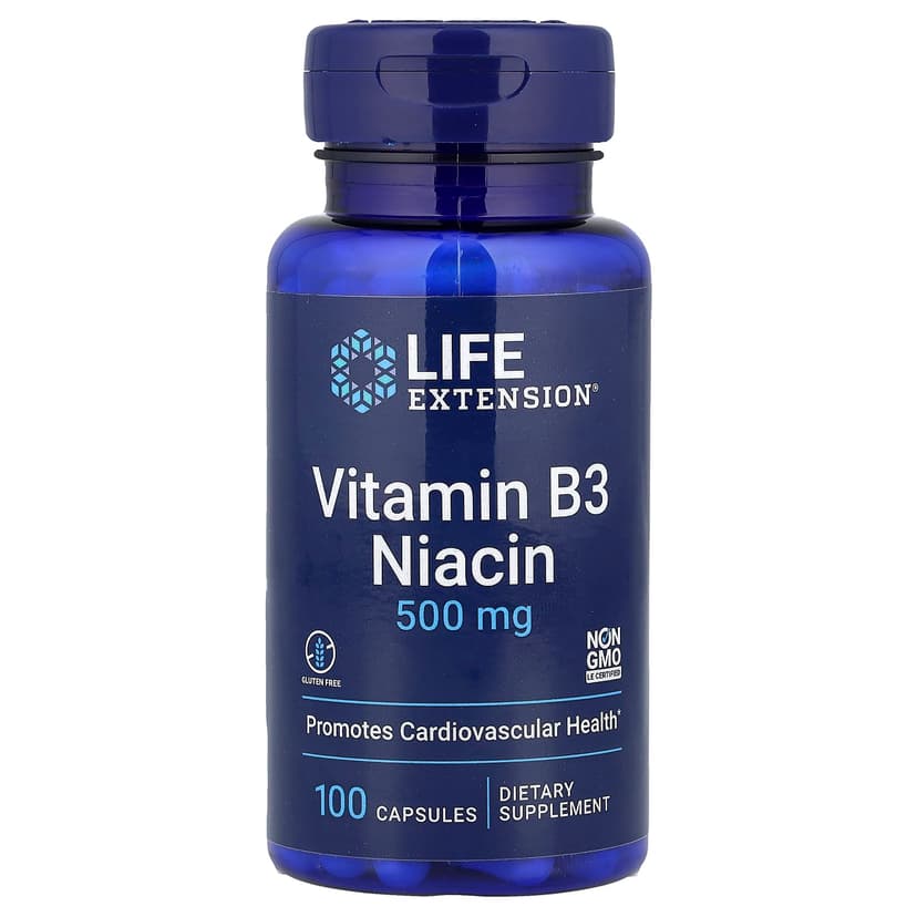 Life Extension, 維他命 B3 煙酸,500 毫克,100 粒素食膠囊