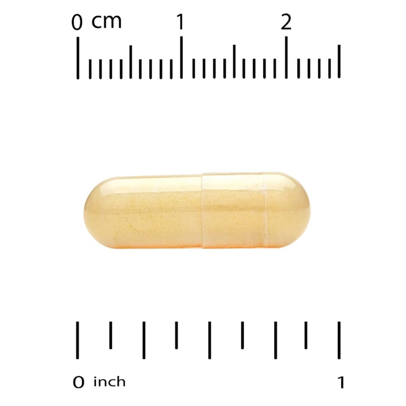 California Gold Nutrition, EuroHerbs,水飛薊提取物,Euromed 品質,175 毫克,60 粒素食膠囊