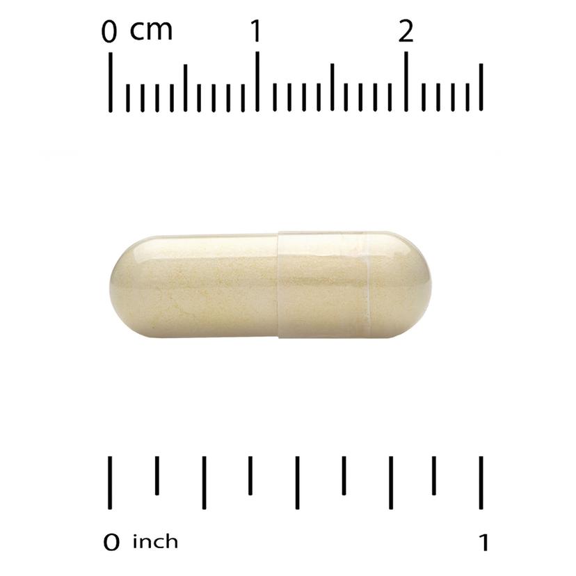 California Gold Nutrition, 運動,關節健康,含 MSM(甲基磺醯甲烷)、殼糖胺鹽酸鹽、硫痠軟骨素、薑黃和乳香,90 粒素食膠囊