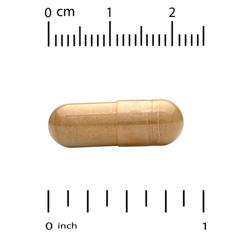 California Gold Nutrition, 水飛薊素複合物素食膠囊,含水飛薊提取物,加蒲公英、洋薊、生姜和 BioPerine 成分,360 粒