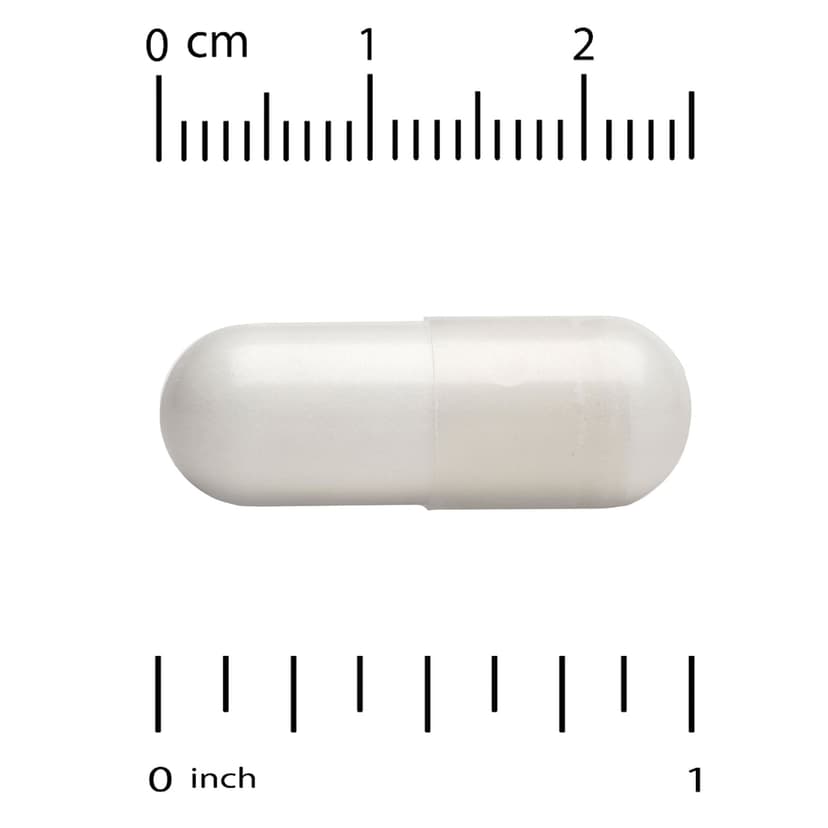 Life Extension, Neuro-Mag®,L-蘇糖酸鎂,90 粒素食膠囊(每粒膠囊 48 毫克)