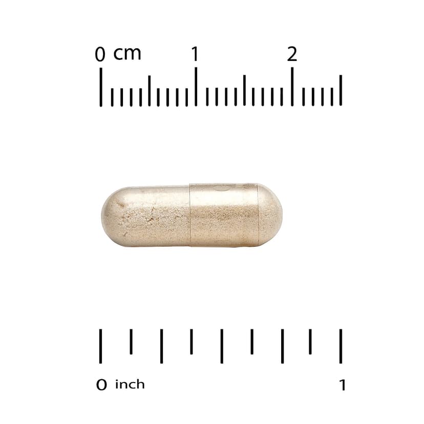 California Gold Nutrition, LactoBif® 30 益生菌,300 億 CFU,60 粒素食膠囊