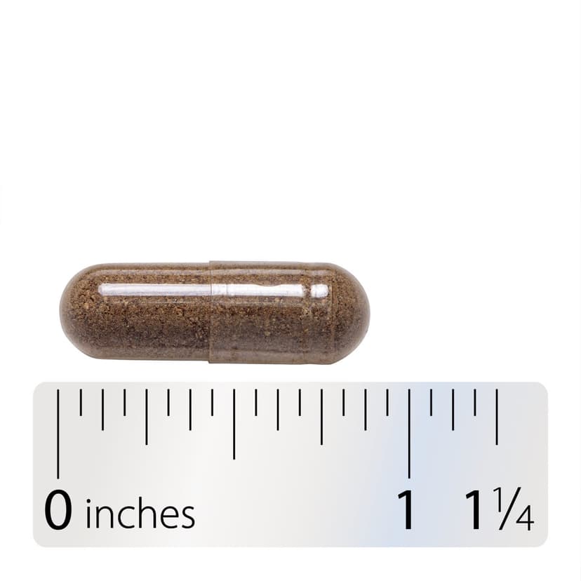 Nature's Way, 聖潔莓純素食膠囊,400 毫克,100 粒
