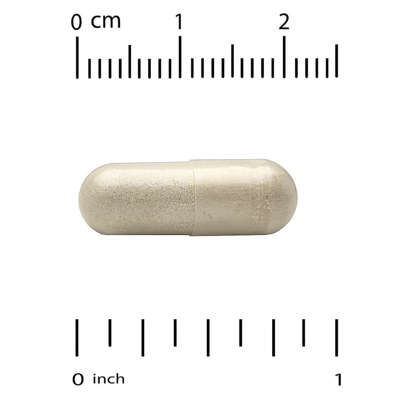 California Gold Nutrition, Ferrochel® 鐵(雙甘氨酸),36 毫克,90 粒素食膠囊