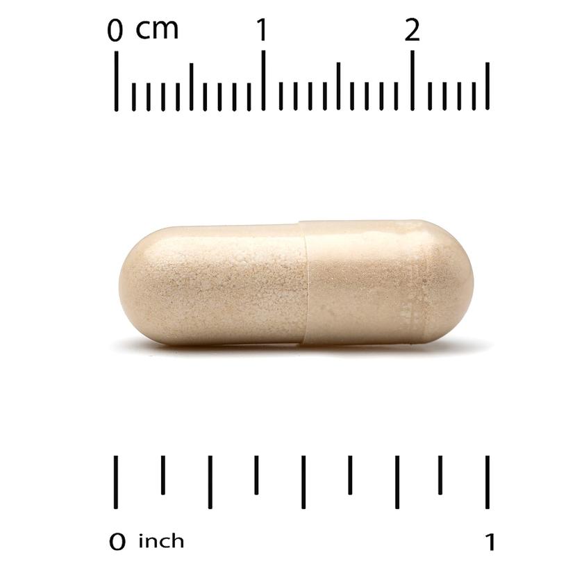 California Gold Nutrition, Fungiology,MushRex Plus 素食膠囊,多面十種蘑菇複合物,含姬鬆茸、白樺茸、蟲草和猴頭菇,120 粒