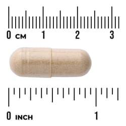 Swanson Vitamins, Full Spectrum® 南非醉茄,100 粒全素膠囊(每粒 450 毫克)