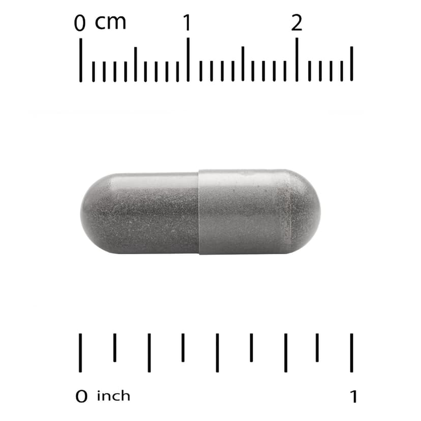 California Gold Nutrition, 南非醉茄,450 毫克,180 粒素食膠囊