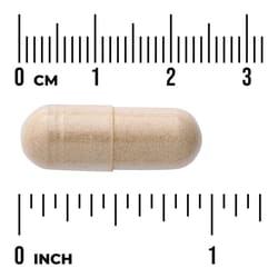 Swanson Vitamins, Full Spectrum® 南非醉茄,100 粒全素膠囊(每粒 450 毫克)